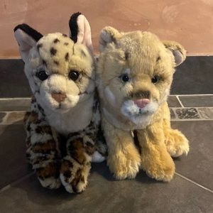 Rare Webkinz Signature cat lot